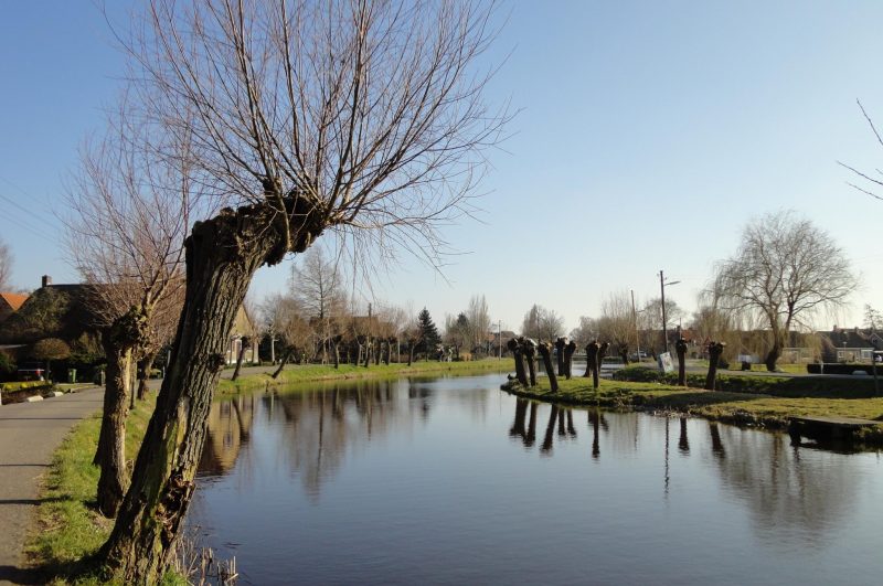 Silver & River Tour - Green Cow Bike Tours